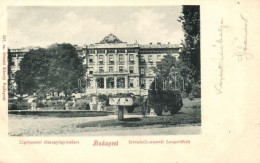 T2 Budapest II. Lipótmezei Elmegyógyintézet, 387. Sz. Divald Károly - Sin Clasificación