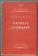 Radnóti Miklós: Orpheus Nyomában. MÅ±fordítások Kétezer év... - Unclassified