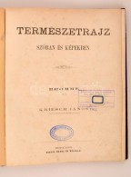 Kriesch János: Természetrajz Szóban és Képekben. Bromme Után. Buda, 1863,... - Unclassified