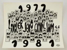 1981 Landler JenÅ‘ Gimnázium Tanári Kara és VégzÅ‘s Növendékei,... - Otros & Sin Clasificación