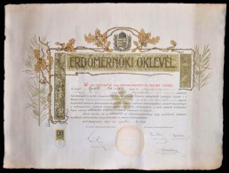 1925 Díszes ErdÅ‘mérnöki Oklevél, A M. Kir. Bányamérnöki és... - Sin Clasificación