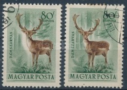 O 1953 Erdei állatok 80f, A Szarvas 2,5 Mm-rel Jobbra Tolódott / Mi 1291 With Shifted Deer - Otros & Sin Clasificación