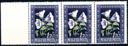 ** 1950 Virág 1.70Ft ívszéli Hármascsík Papírráncokkal / Mi 1116... - Otros & Sin Clasificación