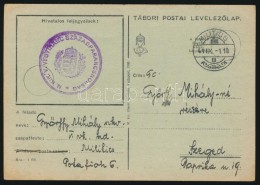 1941 Tábori Posta LevelezÅ‘lap / Field Post Card 'M.KIR. V. VEGYIHARC SZÁZADPARANCSNOKSÁG' +... - Other & Unclassified