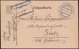 1918 Tábori Posta LevelezÅ‘lap / Field Postcard 'KRIEGSGEFANGENENLAGER PURGSTALL B' - Otros & Sin Clasificación