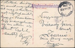 1917 Viborgi Hadifogolytáborból Küldött Képeslap Magyarországra / P.O.W.... - Autres & Non Classés