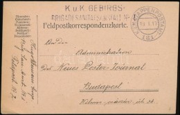 1917 Tábori Posta LevelezÅ‘lap / Field Postcard 'K.u.K. GEBIRGS / BRIGADESANITATSANSTALT' + 'EP 181' - Other & Unclassified