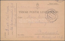 1917 Tábori Posta LevelezÅ‘lap / Field Postcard 'K.u.k. Mob Epidemiespital Nr.11.' + 'FP 339' - Otros & Sin Clasificación