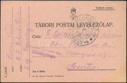 1916 Tábori Posta LevelezÅ‘lap / Field Post Cover 'RÓZSAHEGY-MEGFIGYELÅ' - Andere & Zonder Classificatie