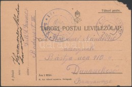 1917 Tábori Posta LevelezÅ‘lap / Field Post Cover Kék/blue 'S.M.S. SZAMOS' + 'FP 299 B'... - Other & Unclassified