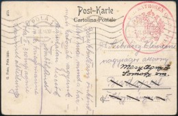 1914 Tábori Posta Képeslap / Field Postcard 'K.u.k. MATROSEN KORPS' + 'POLA' - Other & Unclassified