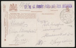 1918 Tábori Posta Képeslap / Field Postcard 'Kr.ug. 42. Domobr. Teska Poli. Topn. Pukovalja' + 'FP... - Otros & Sin Clasificación