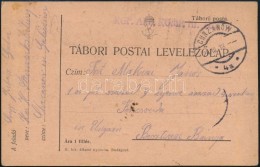 1918 Tábori Posta LevelezÅ‘lap / Field Postcard 'KGF. ARB. KOMP. Nr.804' + 'CHRZANOW' - Otros & Sin Clasificación