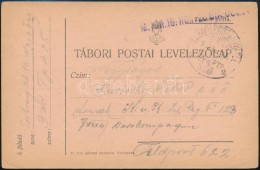 1918 Tábori Posta LevelezÅ‘lap / Field Postcard 'M. KIR.16. HONVÉD GYALOG' + 'TP 425' - Otros & Sin Clasificación