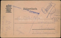 1918 Tábori Posta LevelezÅ‘lap / Field Postcard 'M.kir. Budapesti I. Honvéd Gyalogezred' + 'TP 417 B' - Otros & Sin Clasificación