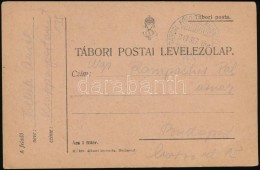 1917 Tábori Posta LevelezÅ‘lap / Field Postcard 'Tábori FÅ‘posta Kirendeltség IV.' - Otros & Sin Clasificación