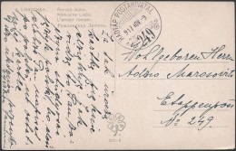 1917 Tábori Posta Képeslap / Field Postcard 'HP 249' - Otros & Sin Clasificación