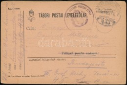 1917 Tábori Posta LevelezÅ‘lap / Field Postcard 'HONVÉD HUSZÁR EZRED' + 'TP 433 A' - Otros & Sin Clasificación
