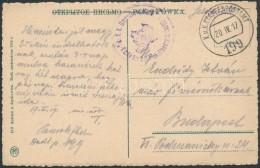 1917 Tábori Posta Képeslap / Field Postcard 'K.u.k. Heeresbahn No.4.' + 'EP 199' - Otros & Sin Clasificación