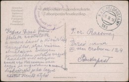 1916 Tábori Posta Képeslap / Field Postcard 'M.kir. 29. Npf. Gyalog Ezred 3-ik Század... - Other & Unclassified