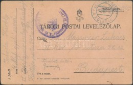 1916 Tábori Posta LevelezÅ‘lap / Field Postcard 'M. Kir. Nagyváradi 4. (népfelkelÅ‘... - Other & Unclassified