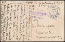 1914 Tábori Posta Képeslap / Field Postcard 'K.k. Landsturmregiment' + 'TREBINJE' - Otros & Sin Clasificación