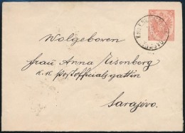 1894 5kr Díjjegyes Levélboríték (10.000) / 5kr PS-cover - Other & Unclassified