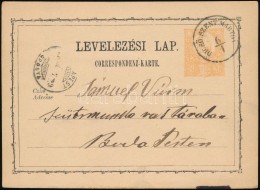 1874 Díjjegyes LevelezÅ‘lap / PS-card 'DICSÅ SZENT MÁRTON' - Other & Unclassified