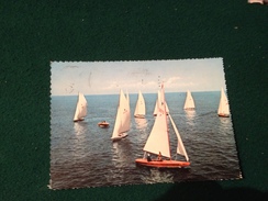 Cartolina Viareggio Regata Di Vele Viaggiata 1958 - Viareggio