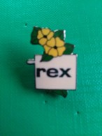 Pin´s Fleur Rex - Non Classés