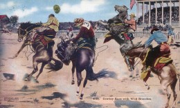 Cowboy Race With Wild Bronchos - Rodeo - Carte Envoyéé De Cheyenne - Denver