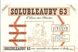 Buvard SOLUBLEAUBY 63 L'Ami Des Plantes Une Spécialité Des Engrais D'Auby Nord - Landbouw