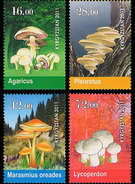 Kirgizië / Kyrgizistan - Postfris / MNH - Complete Set Paddenstoelen 2011 - Kyrgyzstan