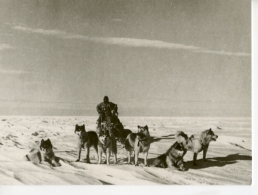 TAAF : Halte Sur L'inlansis Cp éditée  à L'occasion Du 50 E Anniversaire Des Expéditions Polaires Française - TAAF : Terres Australes Antarctiques Françaises