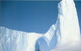 TAAF :Solitude Cp éditée  à L'occasion Du 50 E Anniversaire Des Expéditions Polaires Française - TAAF : Terres Australes Antarctiques Françaises