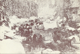 Fairbanks ?? (Alaska, USA) Canyon Byea Trail, Riproduzione Da Foto Del 1898 - Fairbanks