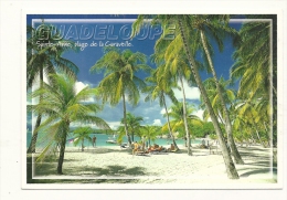 Cp, La Guadeloupe, Sainte-Anne, Plage De La Caravelle, Voyagée 2001 - Altri & Non Classificati