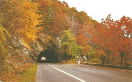 USA - VA - Mary's Rock Tunnel On Skyline Drive - Shenandoah National Park -  Official Vrginia Sky-Line Co. Card N° 11 - USA National Parks