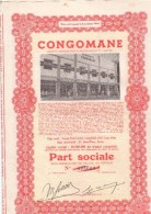 CongoMane - Part Sociale - Capital 28 000 000 Francs Congolais - Afrika