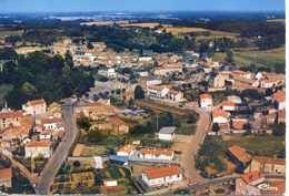 (85) L'HERMENAULT (Vendée)  Vue Générale - L'Hermenault