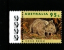 AUSTRALIA -  2000  95c.  WOMBAT 4 KOALAS  REPRINT  MINT NH - Probe- Und Nachdrucke