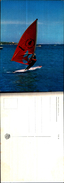 4075a)cartolina - Skateboard - Skateboard