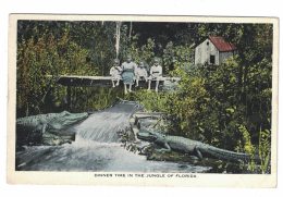 'Dinner Time In The Jungle Of Florida' Black Children Sit On Bridge Above Alligators In River, C1900s Vintage Postcard - Negro Americana