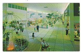 Orlando Florida, Colonial Plaza Shopping Mall Interior View, C1970s Vintage Postcard - Orlando