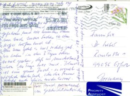 Irland TGST 82 C. Blume See Aster Label Luftpost Nach Deutschland - Lettres & Documents