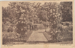 Delcampe - 67 - SAVERNE - Au Jardin Des Roses - Saverne