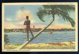 Cpa  Antilles Bahamas Nassau From Hog Island   JIP48 - Bahama's