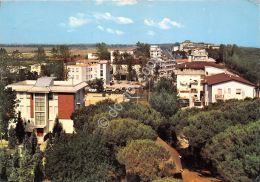 Cartolina - Postcard - Marina Di Eraclea - Panorama - 1976 (Verona) - Ohne Zuordnung