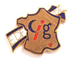 Pin's EDF DE - CIG - Carte De France - F916 - EDF GDF