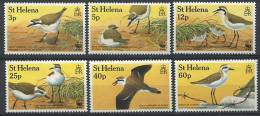 104 SAINTE HELENE 1993 - Oiseau Pluvier - Neuf Sans Charniere (Yvert 586/91) - St. Helena